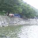 명당옥수 이미지