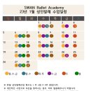 연산스완발레아카데미학원 이미지