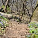 이마당약수터 이미지