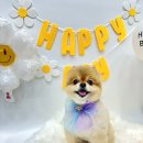 로고스 동물병원 이미지