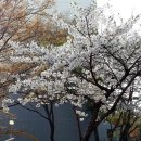 호구포근린공원 Daum카페