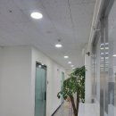 매화태권도장 이미지