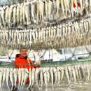 고향펜션형민박 이미지