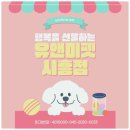 “안산브리티시숏헤어분양 후기 | 안산호수공원 근처에서 만난 ‘토리’와의 따뜻한 이야기”