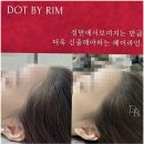 도트바이림 이미지