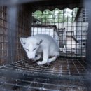 미소지은농장 이미지