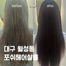 포쉬헤어살롱 - 달서구 | 포쉬헤어살롱