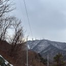 예산장갑 이미지