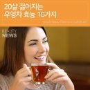 우엉차 효능 이미지