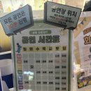 세종 공룡월드 후기-