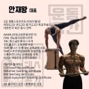 파피에콜레