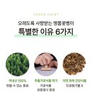 준 꽃벵이