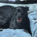 도깨비시장길 (LC마트 정문) | 짝꿍과 여름나기