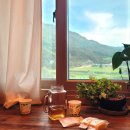 홍인펜션 | [하동 숙소] 홍인펜션 :: 친절함으로 하루를 보낼 수 있는 차밭 옆 펜션