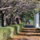 남순천의원 이미지