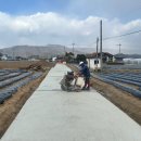 신매2리 이미지