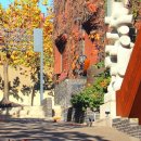 주식회사아라리오 이미지