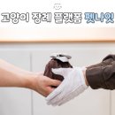 펫로스 케어 | 반려동물 장례식장 금액 견적부터 펫로스케어(고양이화장)