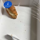 (주)건우유통 이미지
