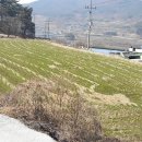 중리소류지 네이버블로그