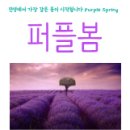 제54회 예술공감 <마법의 선율· 디즈니와 지브리· 클래식의 만남> | 부모님과 같이 보기 좋은 영화 추천 5가지 (관객 평점 9점 대 명작) / [퍼플봄...daejeon--]