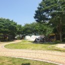 경남 무료캠핑 의령 유곡면민체육공원야영장(물놀이하기 좋음)