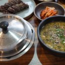 제주동백을담다 이미지