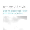 수성구립 범어도서관 이미지