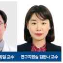 코로나19 중증 환자는 장내 미생물 환경이 불균형해진다고 알려지고 있다. 이미지