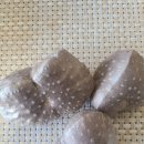 마전농장 이미지