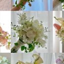 더부케 이미지