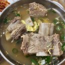 고집센그집갈비탕대구대명점