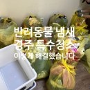 경주종합특수렉카 | 경주 특수청소 냄새까지 완전제거!