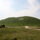 금오름 가는 길 이미지