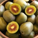 미라벨 제주 이미지