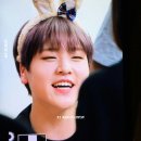 도현