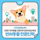 펫시터(반려견) 자격증 과정 이미지