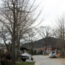 둔전1리 이미지