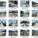 해양레일바이크 용화역 이미지