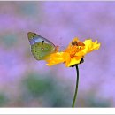 서울숲6 이미지
