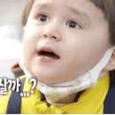 도르담