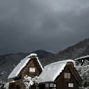 미소렌트카 | 나고야 출발 시라카와고 렌트카여행 후기