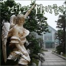 제주건강과 性 박물관 이미지