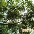 제남마트 ↔ 동성식당 이미지