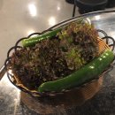 꿀꿀이네 이미지