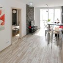 포레스트 13월 이미지