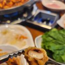 군산오징어익산