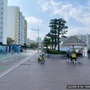 남천동 남천해변공원 이미지