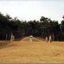 박강 묘역 및 석물 이미지