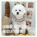 하얀피부미용도;소매 | 사직동 애견미용 추천, 여름철 강아지 피부관리가 중요한 이유